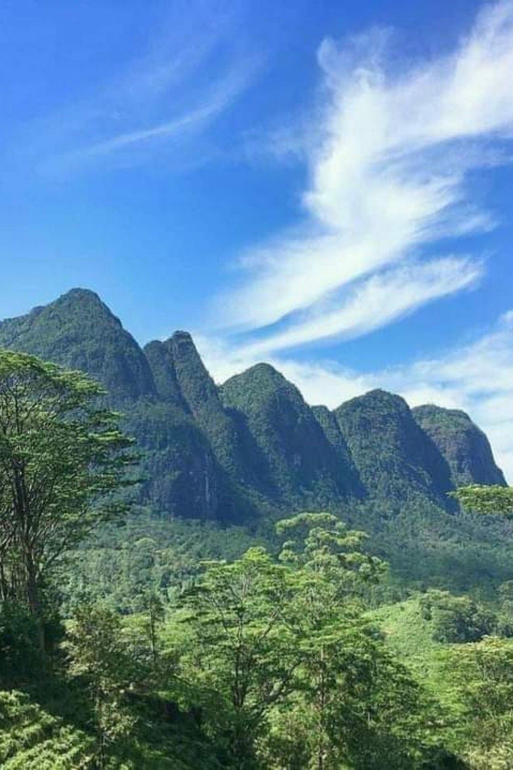 Mist-Covered Mountains