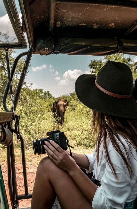 Group and Family Tours